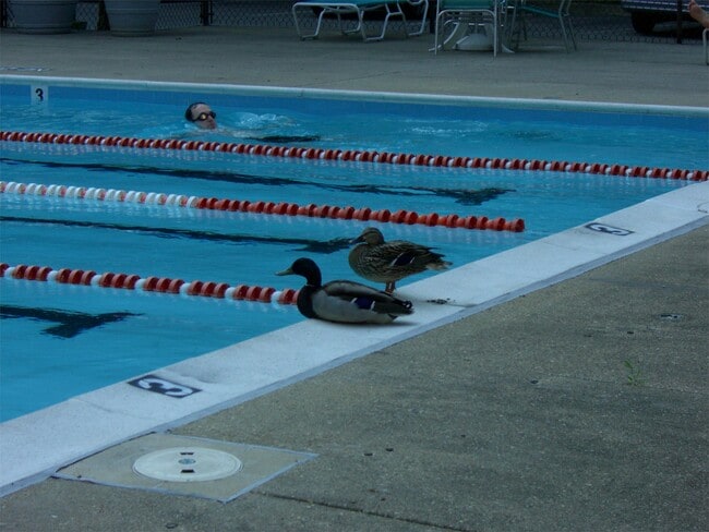 Building Photo - 2939 Van Ness St NW