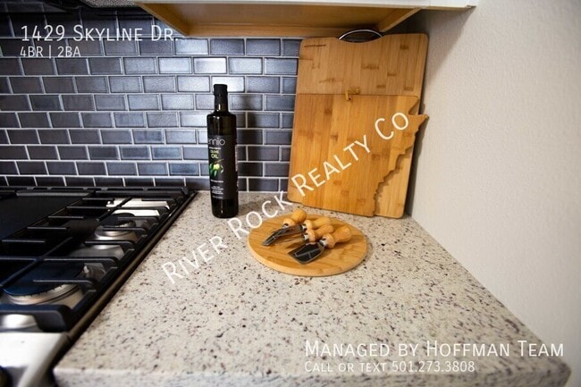 Building Photo - 1429 Skyline Dr