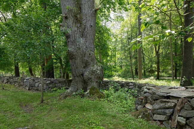 Building Photo - 48 Preston Ln