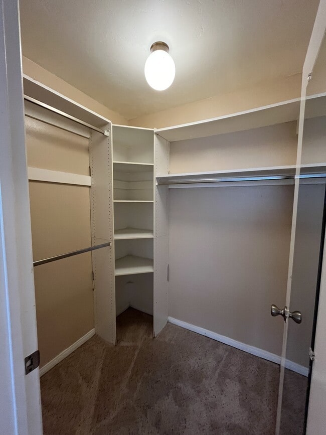 Building Photo - 2920 Luciernaga St