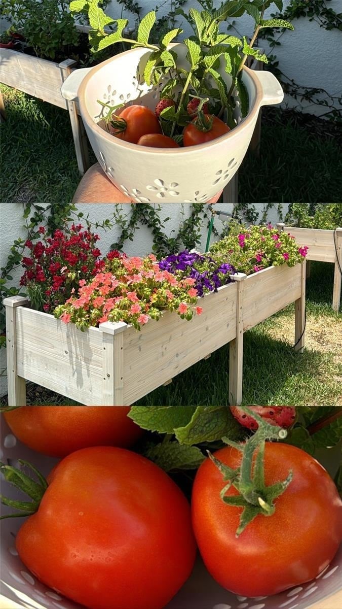 Building Photo - 4330 Meandering Bay Dr