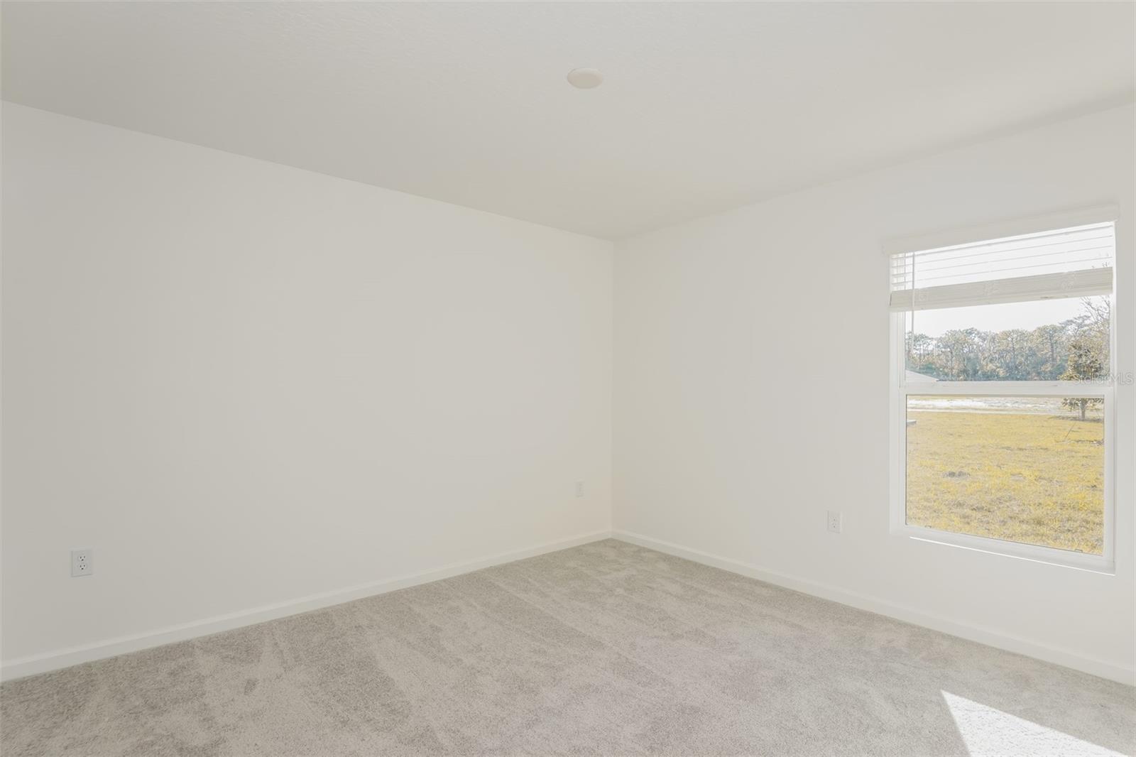 Building Photo - 1339 Inkberry Cir