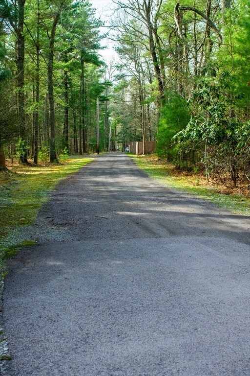 Building Photo - 154 Grove St