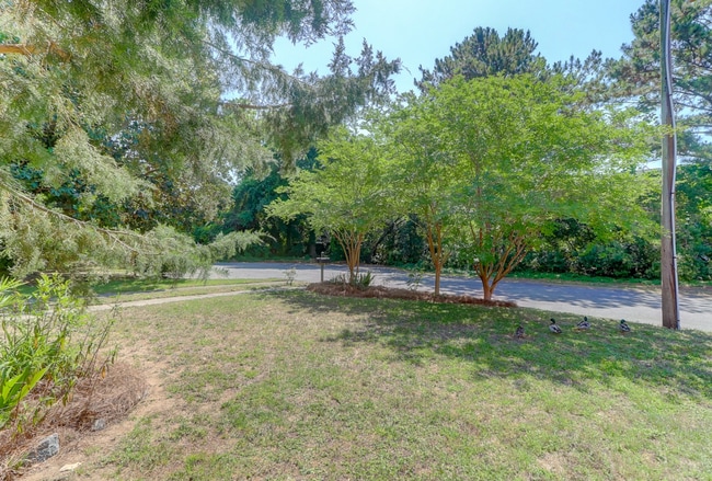 Building Photo - Beautiful Mt. Pleasant Home!