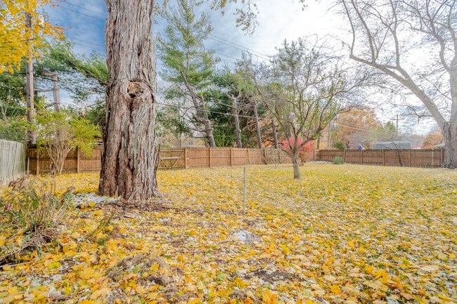 Building Photo - 3515 Indianbrook Dr