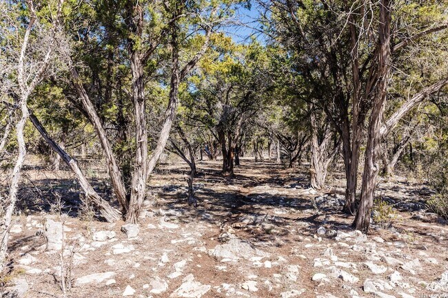 Building Photo - 118 Buffalo Springs Crossing