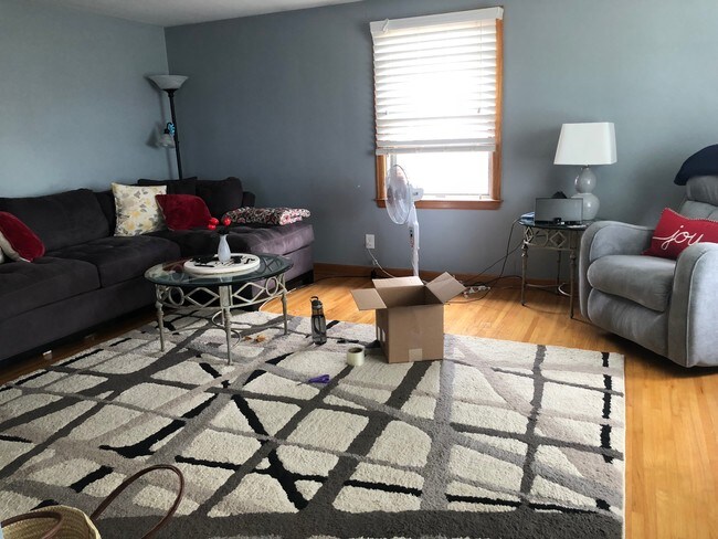 Living Room - 173 Washington Ave