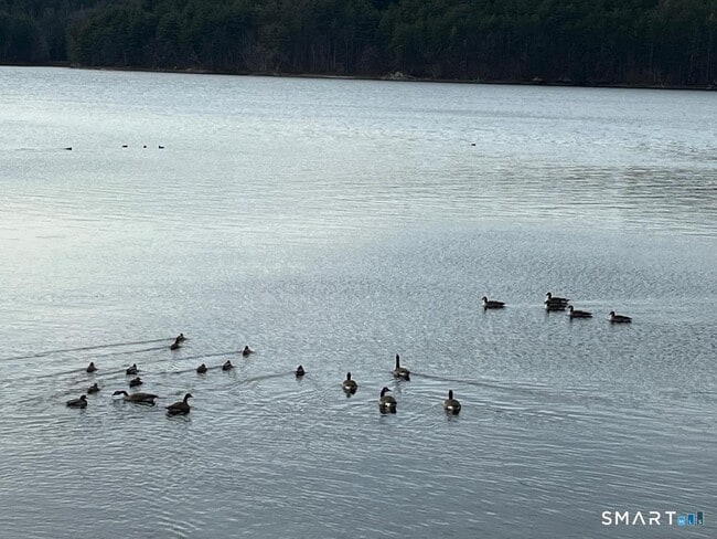 Building Photo - 71 Ellington Rd