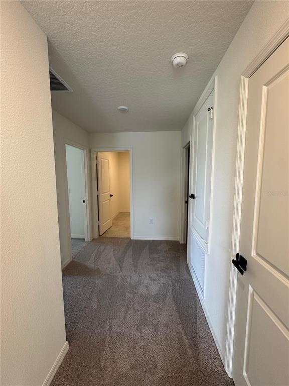 Building Photo - 3485 Sanctuary Dr