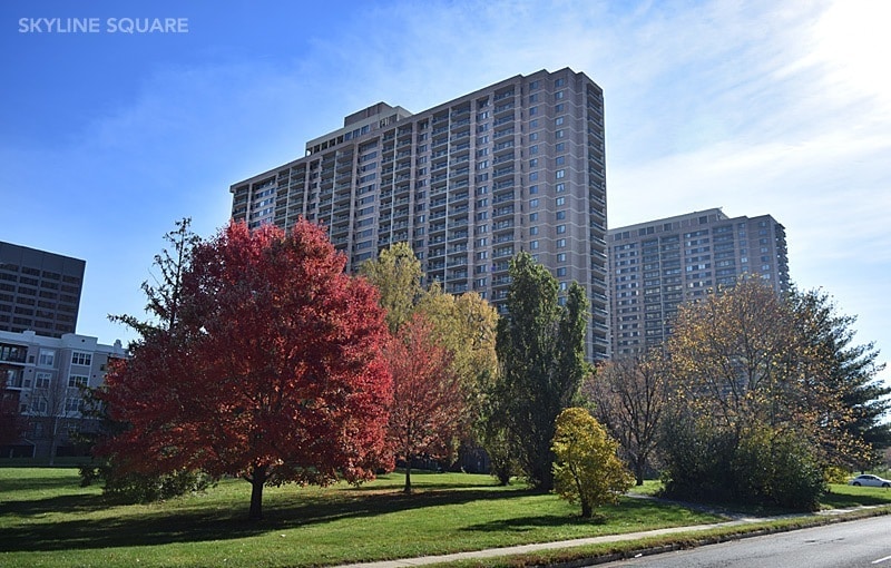 Building is conveniently located in Bailey's Crossroad area. Small park right outside. - 5505 Seminary Rd
