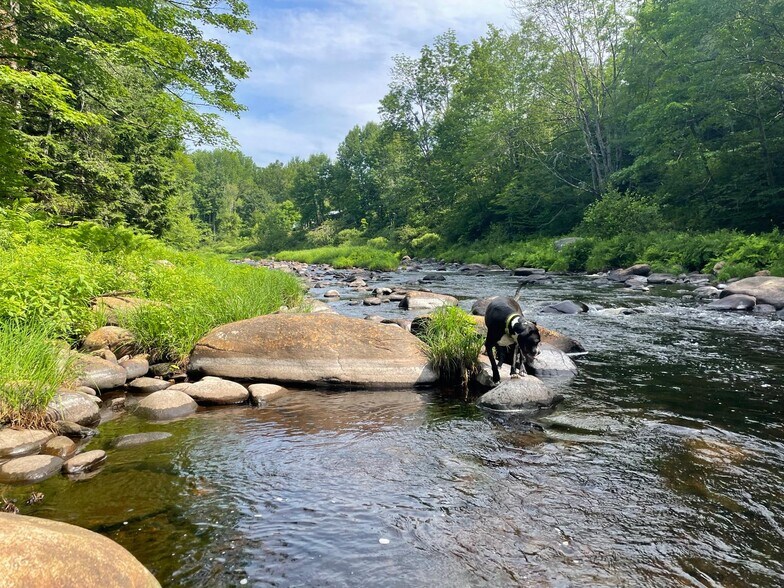 Ashuelot River - 39 Old County Rd