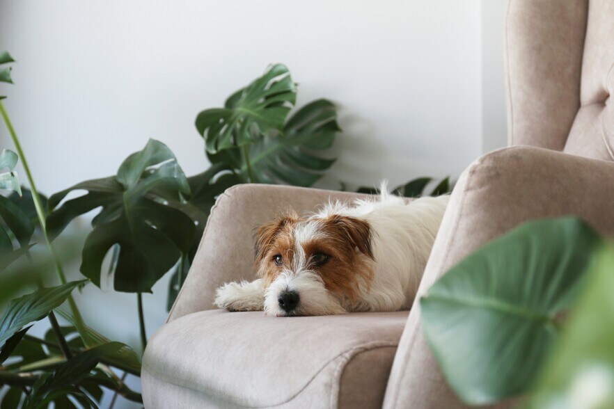 Building Photo - Tanager