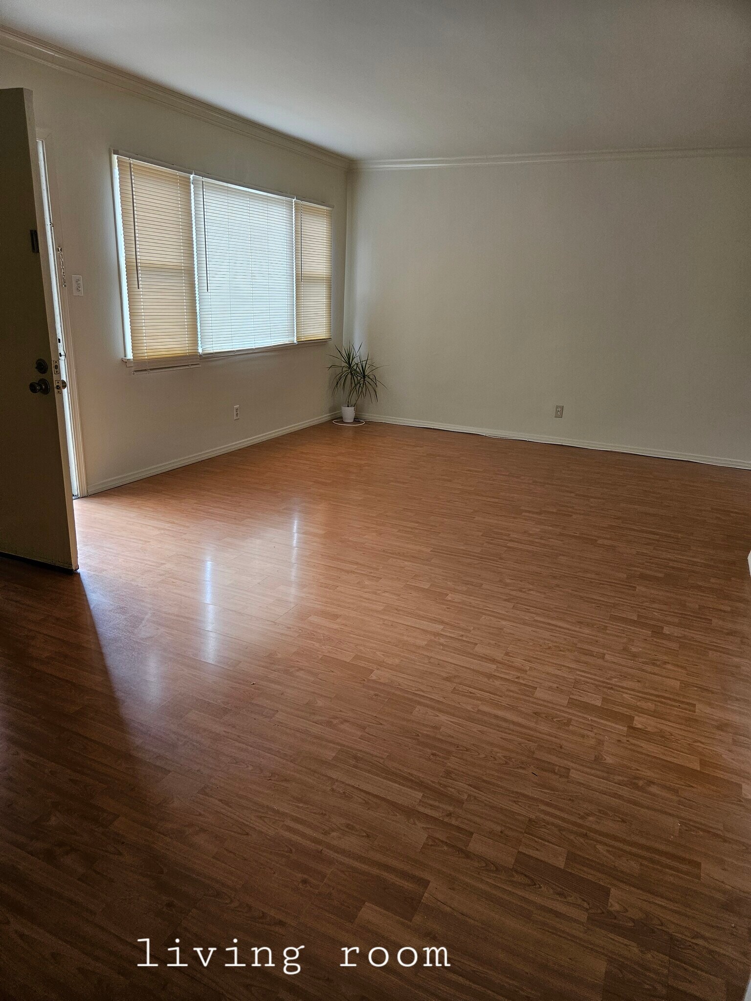 living room - 5927 Lemp Ave