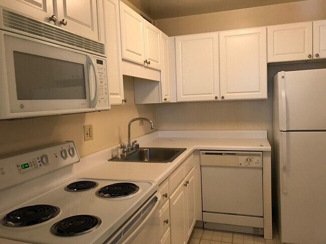 Building Photo - Nice one bedroom in Streeterville