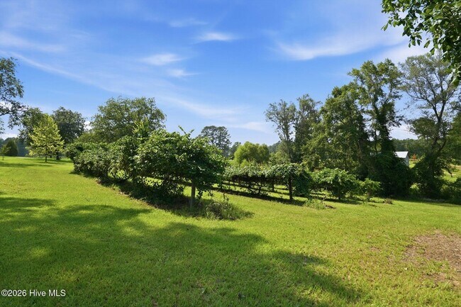 Building Photo - 5103 Hillmon Grove Rd