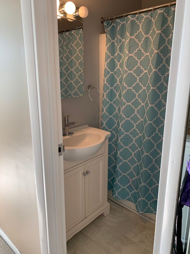 2nd Flr. 2nd bathroom - 231 Canal Park Dr