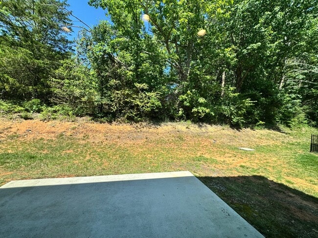 Building Photo - End Unit Luxury Townhouse in Campbell County