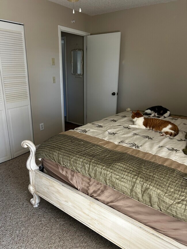 Building Photo - 1136 Peach Tree Dr