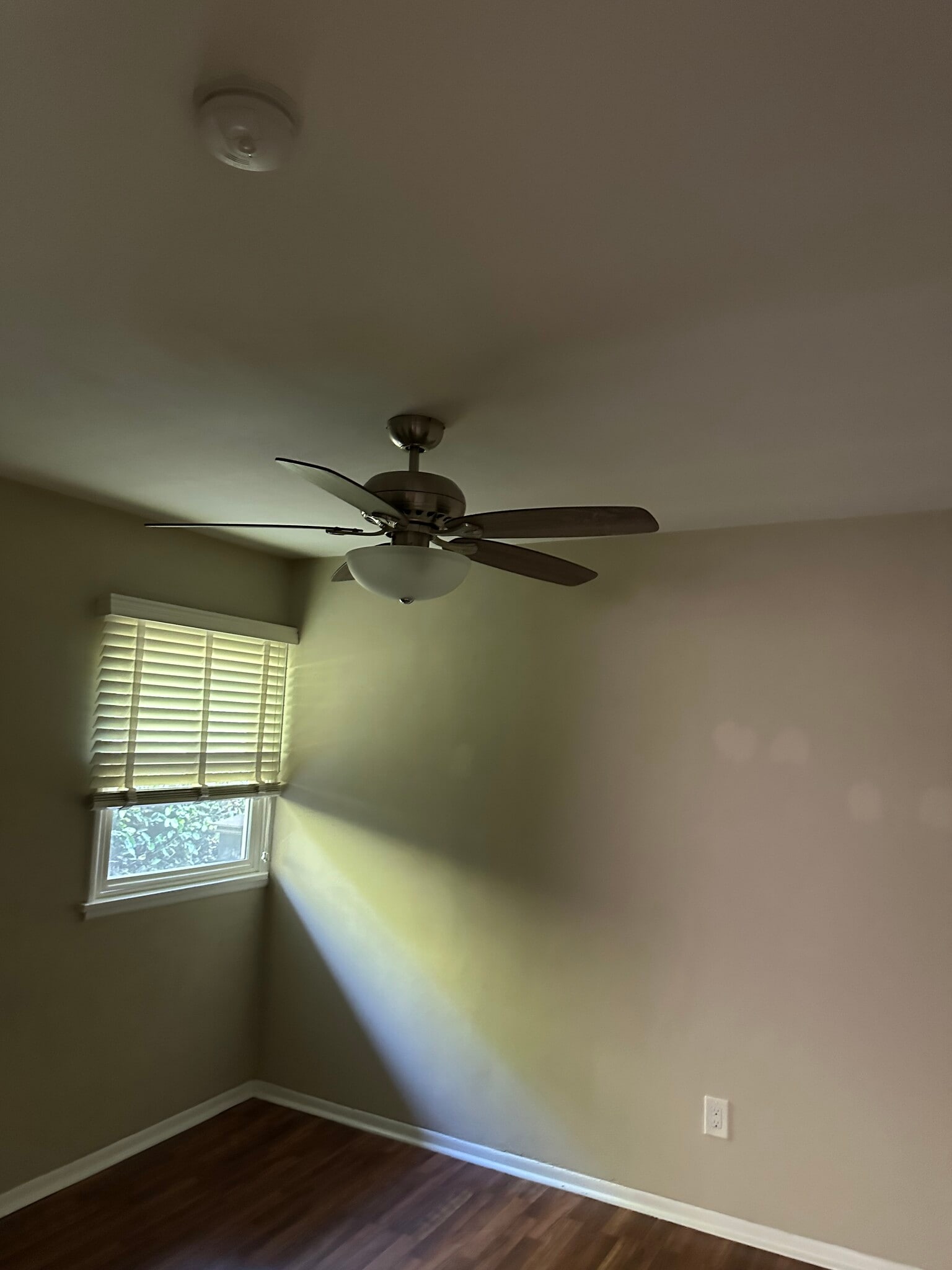 Building Photo - 184 E 19th St