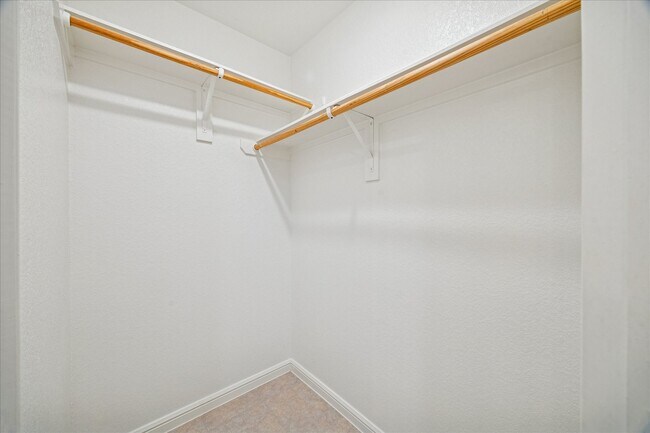 Building Photo - 18203 Alora Springs Trace