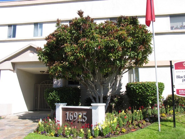 Building Photo - Blackhawk Place