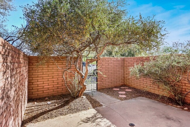 Building Photo - Pending/ Rented - Light-Filled 2-Bed Tucso...