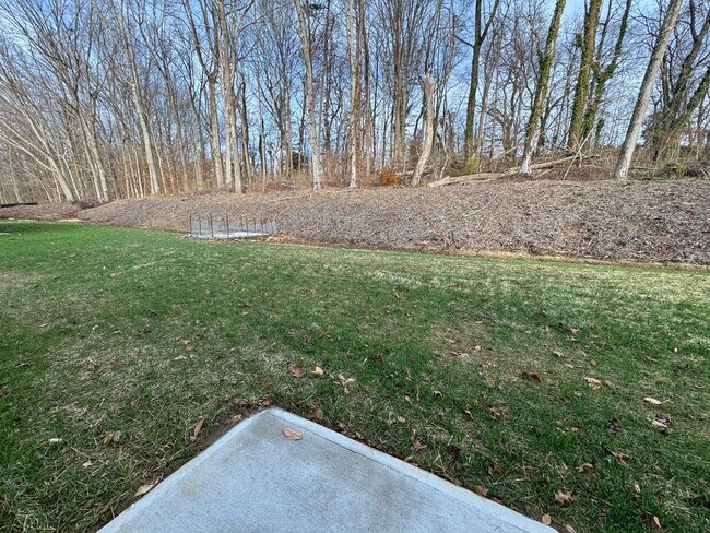 Building Photo - Newer 4BR 2.5BA Home!