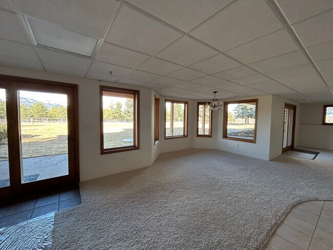 Building Photo - Spacious Daylight Apartment in Hamilton