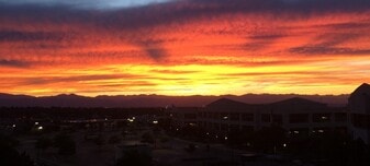 Building Photo - 10176 Park Meadows Dr