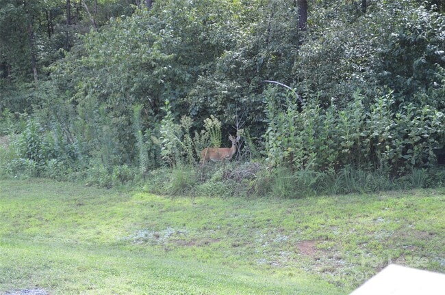 Building Photo - 132 Springfield Rd