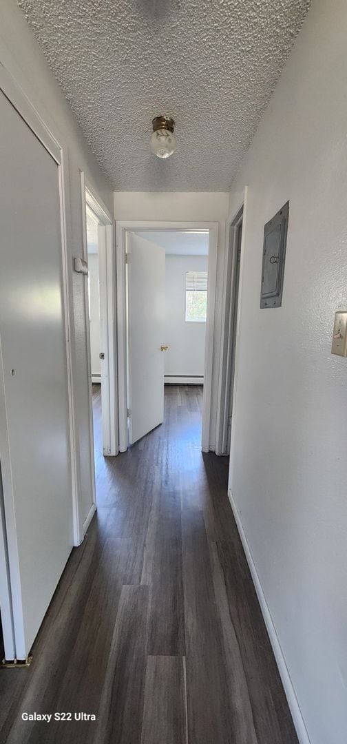 Building Photo - Garden level 2 bed, 1 bath apartment in Ch...