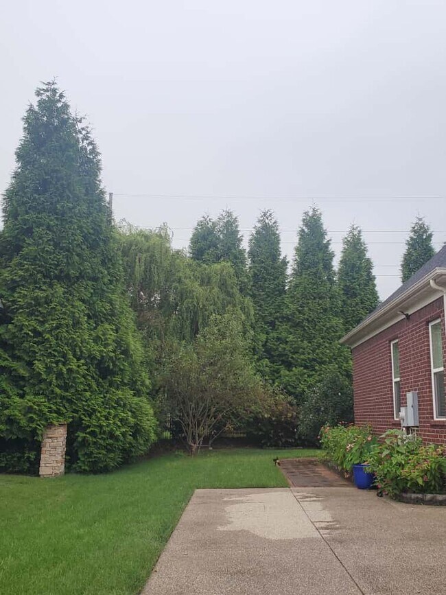 Building Photo - 1530 Bledsoe Ln