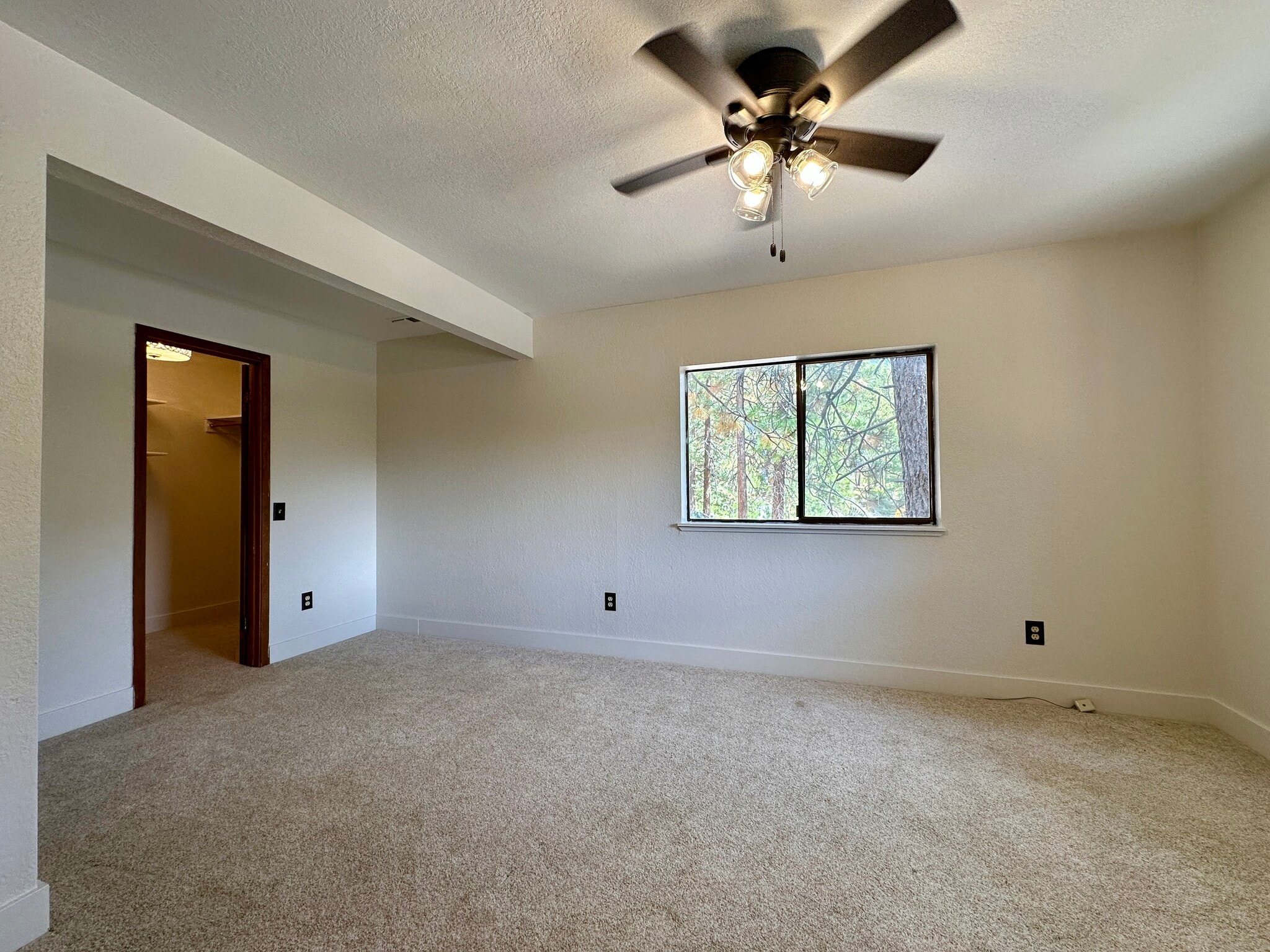 Primary Bedroom - 1055 Tomahawk Trl