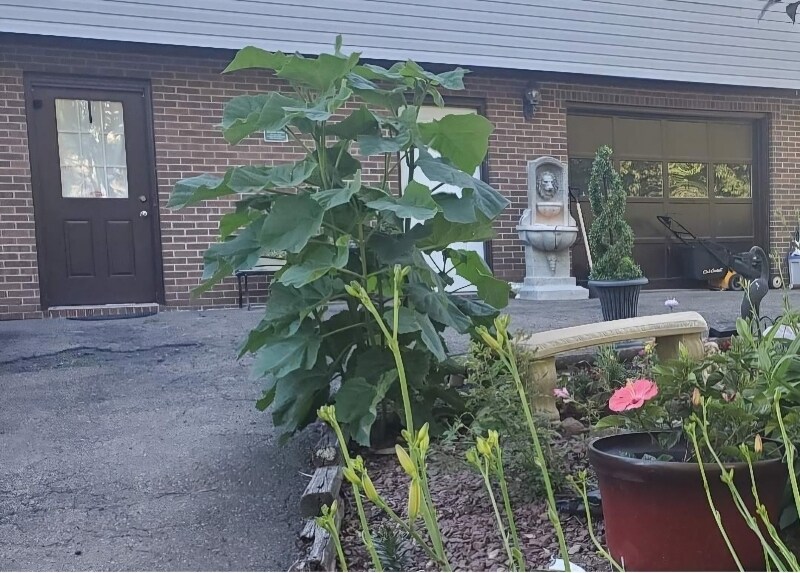 Building Photo - 717 Squires Ave