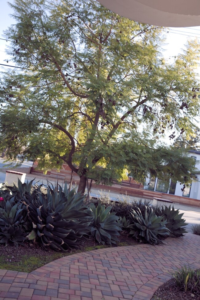 Building Photo - 1215 Altamead Dr