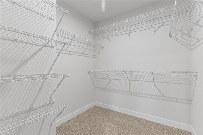 Building Photo - 118 Hamilton Dr