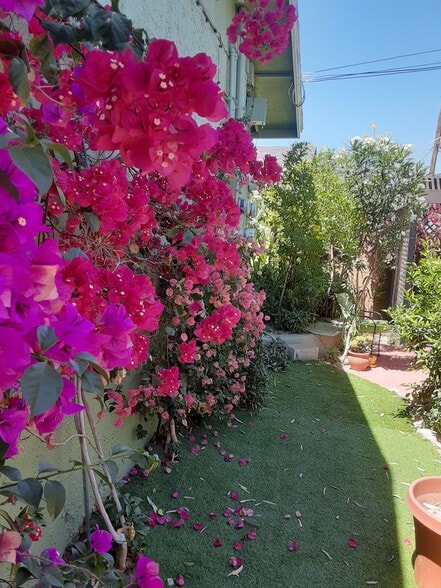 Building Photo - 13223 N 20th St