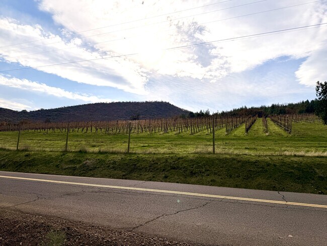 Building Photo - 2099 Emigrant Creek Rd