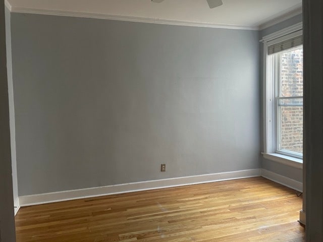 Master Bedroom - 5442 S Cornell Ave