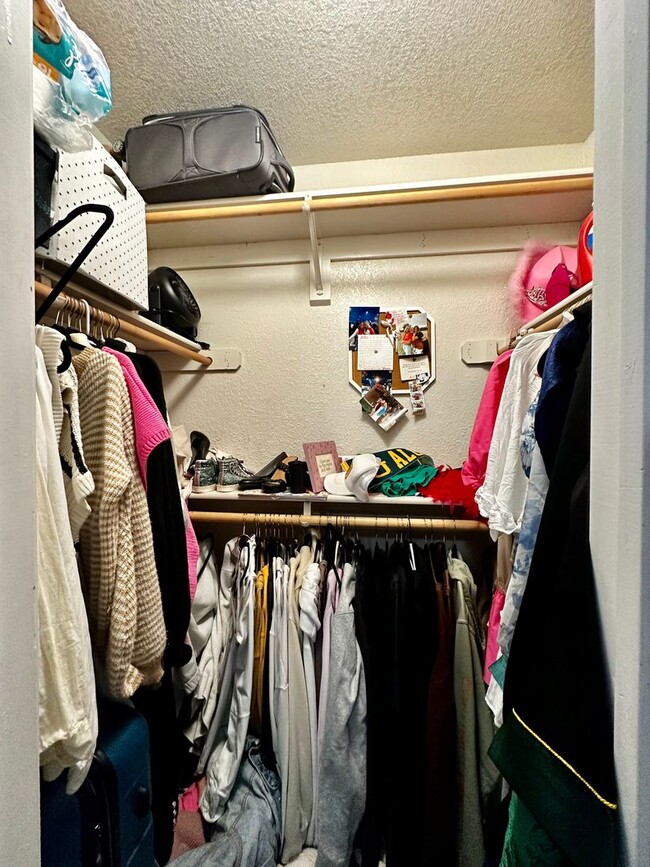 Building Photo - Spacious 4/2 Walking Distance to Campus & ...