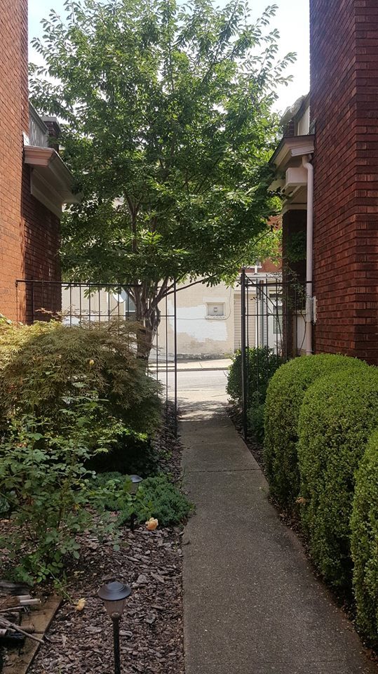 gated courtyard - 703 Willard St