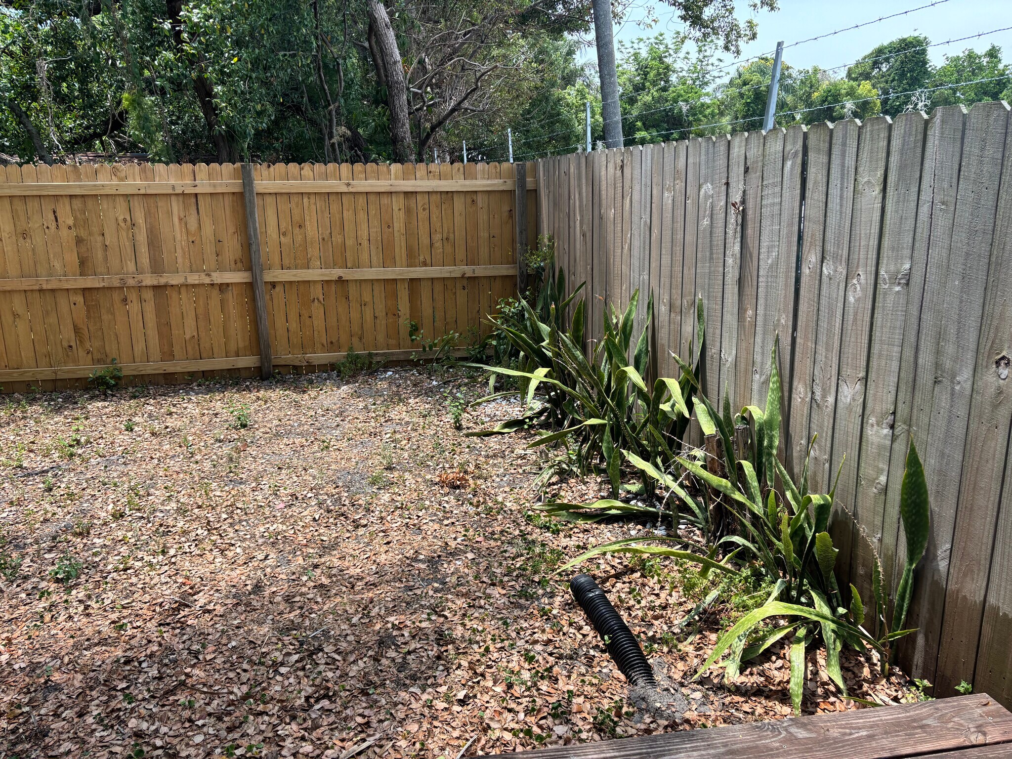 Backyard with a deck - 931 Florida Ave