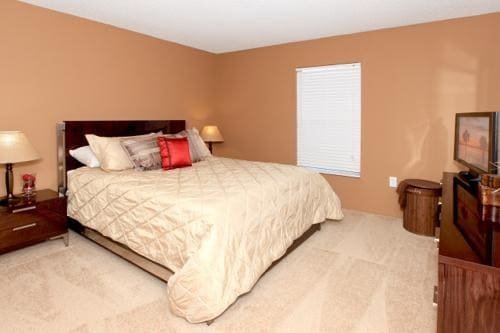 Building Photo - 1 bedroom in Tampa FL 33618