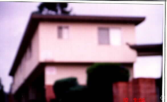 Primary Photo - 2240 Village Ct