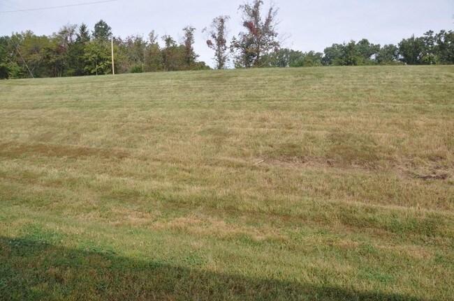 Building Photo - 3505 Timber Run Dr