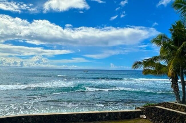 Building Photo - Steps from the Sand – Oceanfront Rental Av...