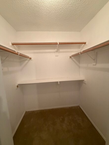 Building Photo - 2521 Ensenada Ln