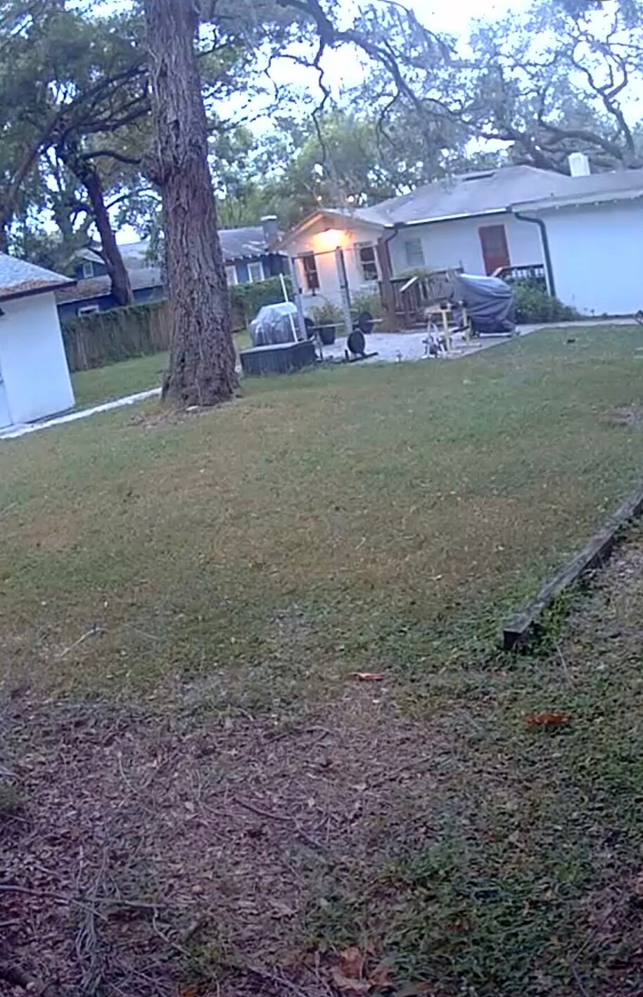 Huge yard - 1220 E Mohawk Ave