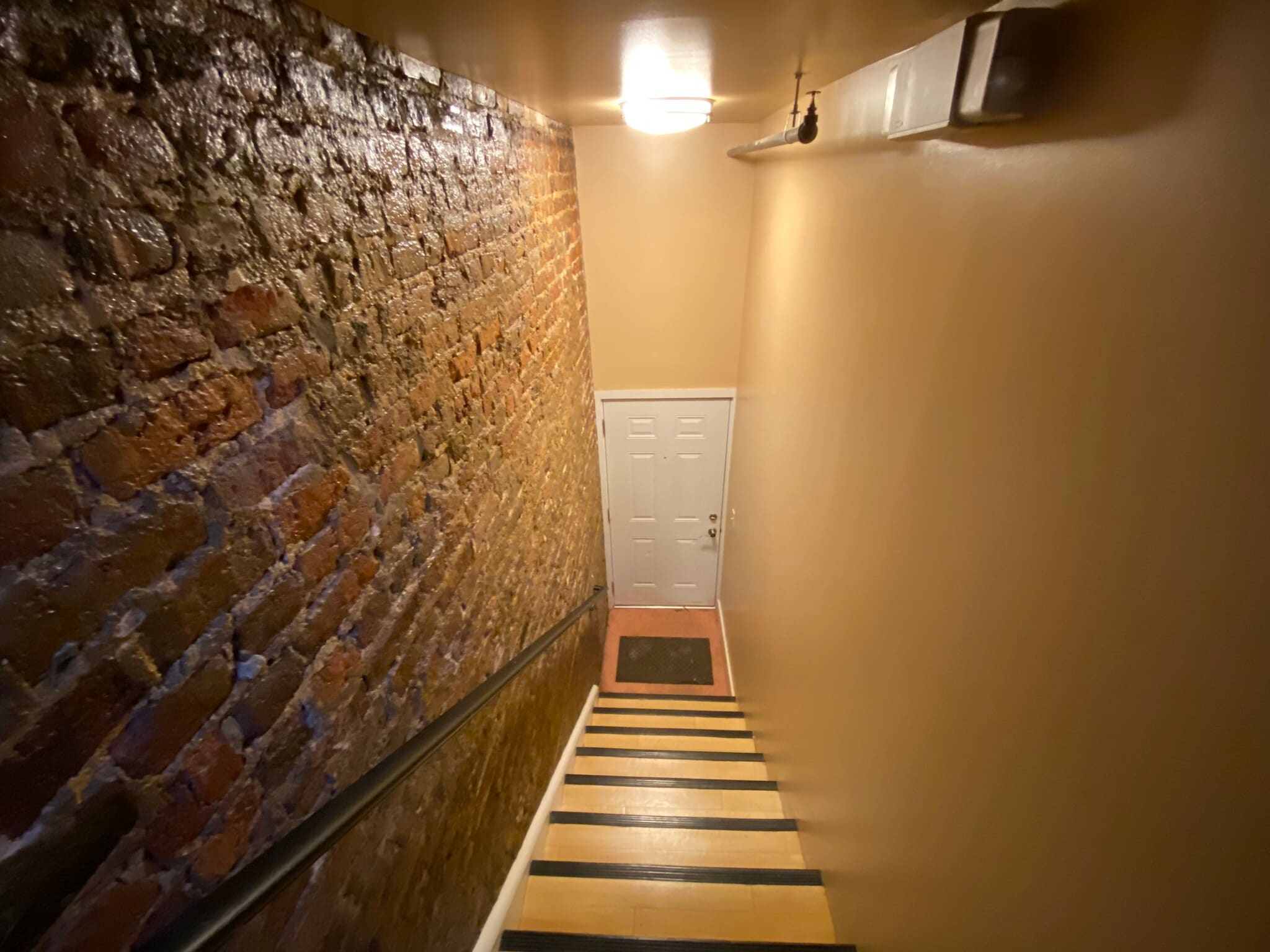 Home entrance with steps and exposed brick - 17 N 17th St