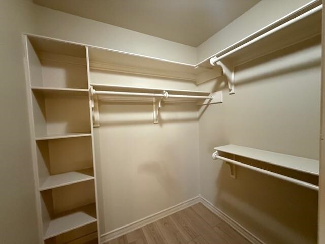 Building Photo - 201 Abigail Dominguez Ct